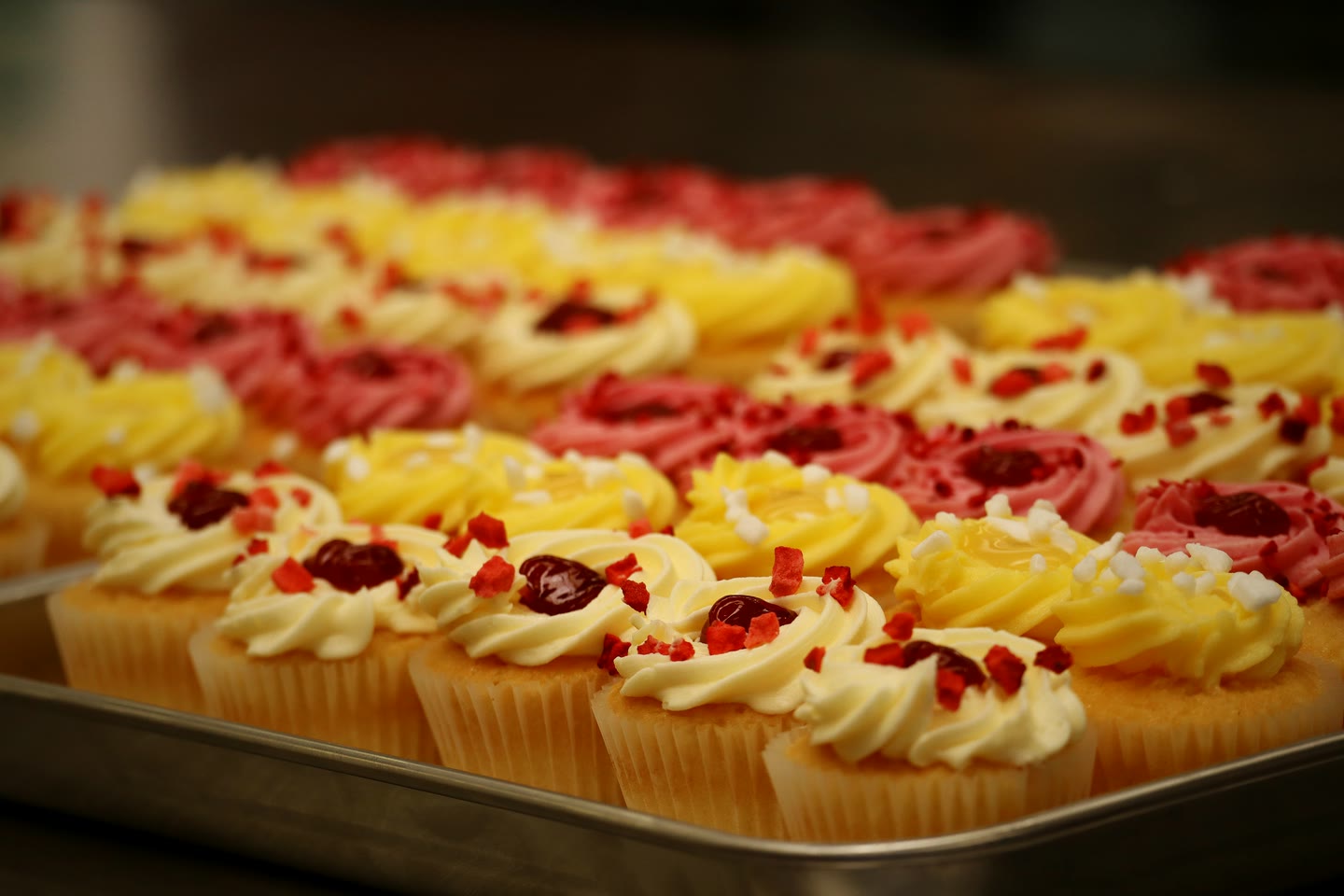 A baker's hand finishing a tray of lemon and raspberry cupcakes with freeze-dried fruit